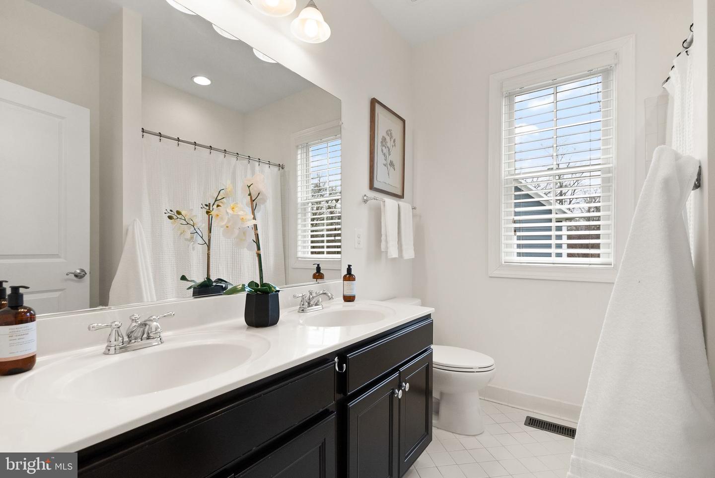 24974 FIRST HARVEST CT, ALDIE, Virginia 20105, 8 Bedrooms Bedrooms, ,5 BathroomsBathrooms,Residential,For sale,24974 FIRST HARVEST CT,VALO2112962 MLS # VALO2112962