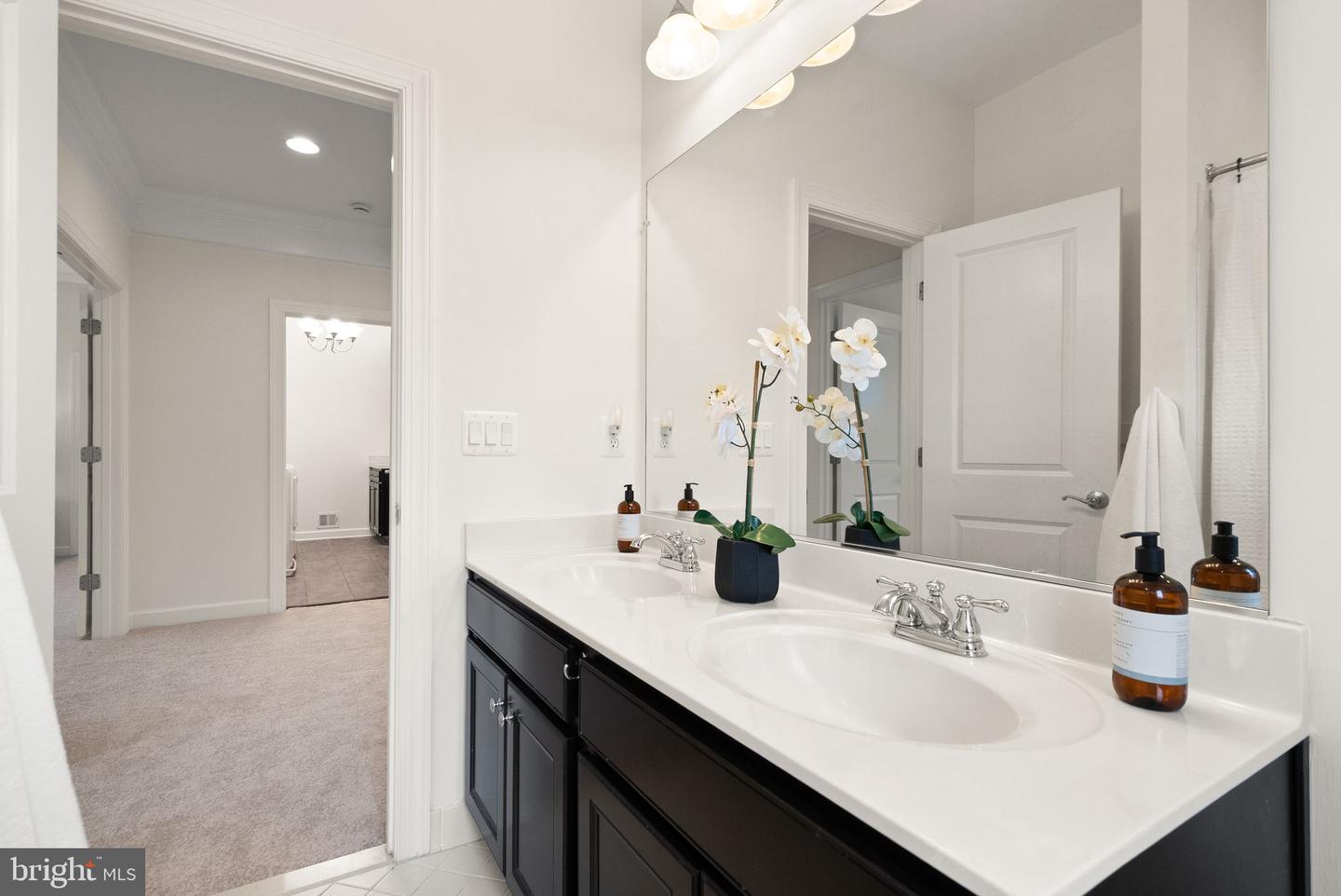 24974 FIRST HARVEST CT, ALDIE, Virginia 20105, 8 Bedrooms Bedrooms, ,5 BathroomsBathrooms,Residential,For sale,24974 FIRST HARVEST CT,VALO2112962 MLS # VALO2112962