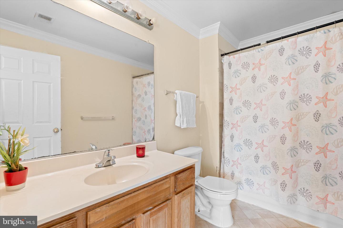 8599 DUTCHMAN CT, MANASSAS, Virginia 20110, 5 Bedrooms Bedrooms, ,3 BathroomsBathrooms,Residential,For sale,8599 DUTCHMAN CT,VAMN2009848 MLS # VAMN2009848