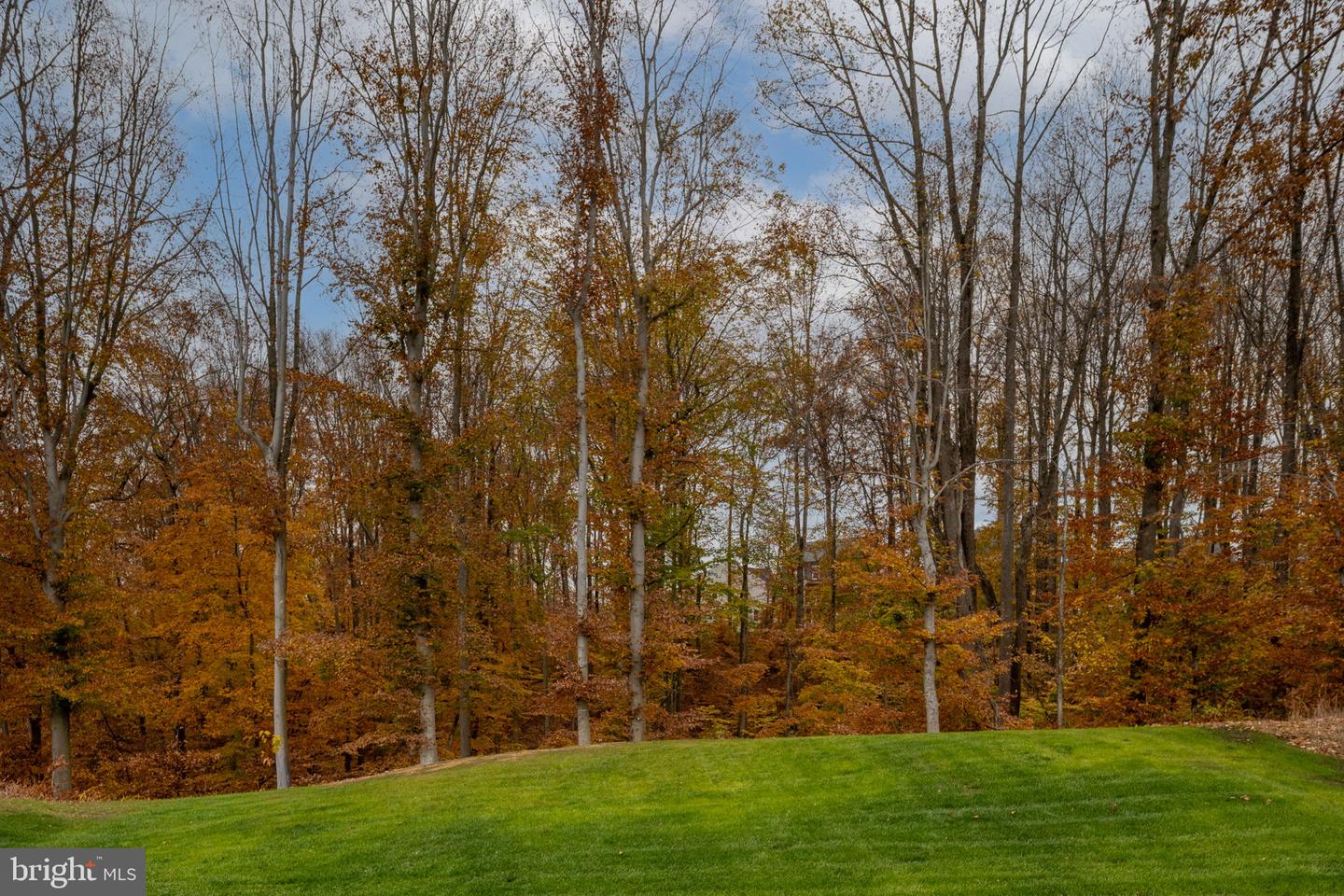 17814 WHITE CAMPION WAY, DUMFRIES, Virginia 22026, 5 Bedrooms Bedrooms, ,4 BathroomsBathrooms,Residential,For sale,17814 WHITE CAMPION WAY,VAPW2109616 MLS # VAPW2109616