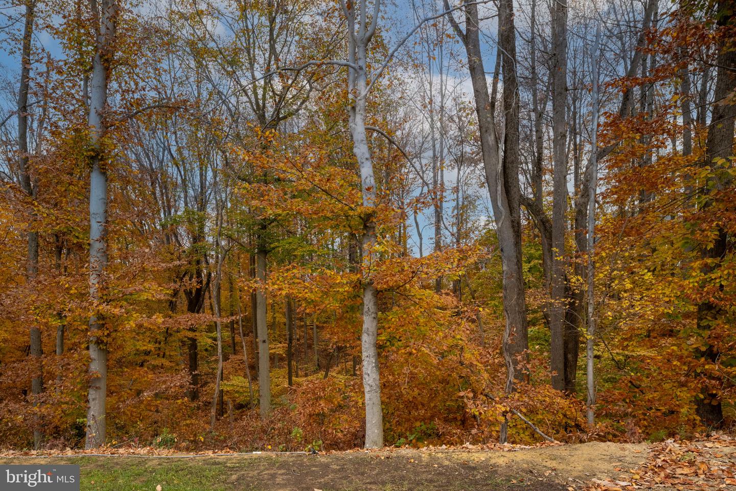 17814 WHITE CAMPION WAY, DUMFRIES, Virginia 22026, 5 Bedrooms Bedrooms, ,4 BathroomsBathrooms,Residential,For sale,17814 WHITE CAMPION WAY,VAPW2109616 MLS # VAPW2109616