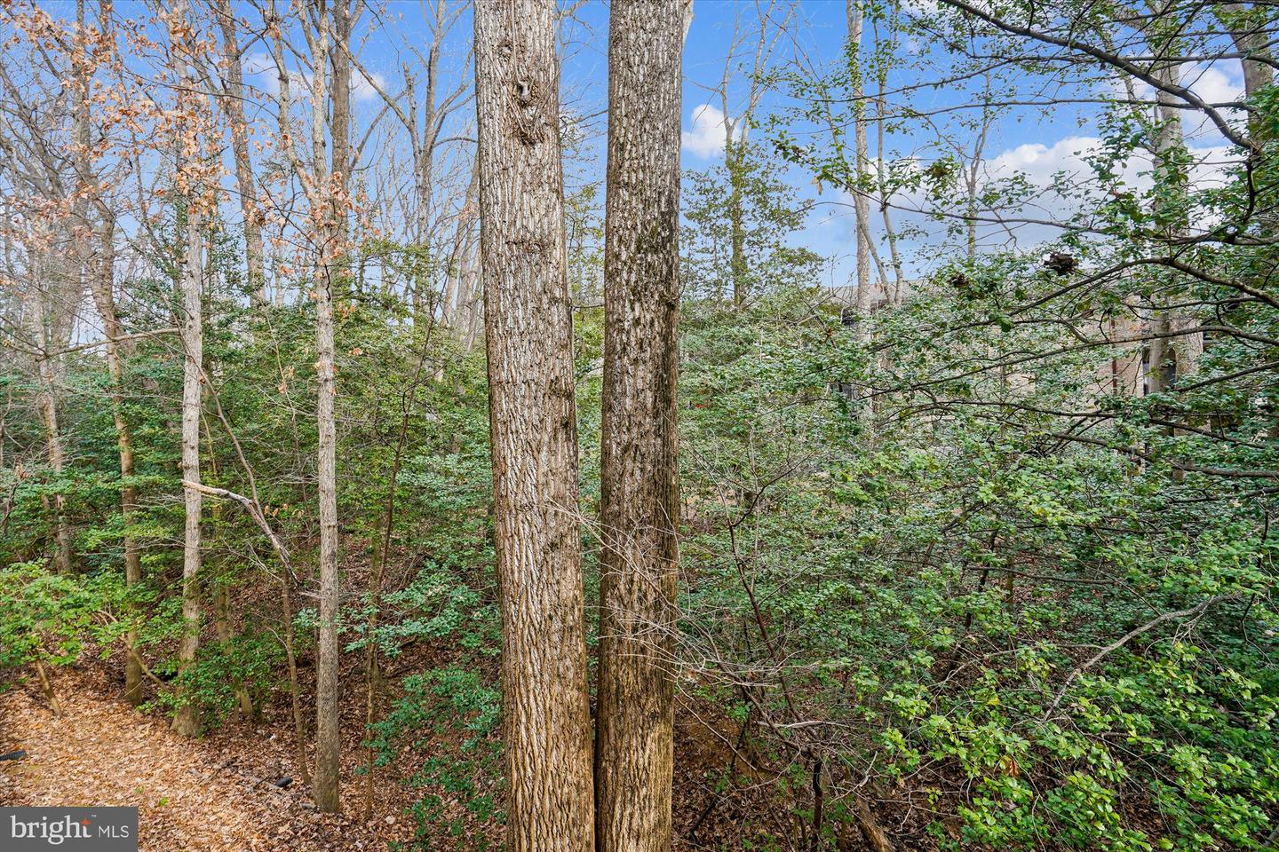 2217-G LOVEDALE LN #210A, RESTON, Virginia 20191, 2 Bedrooms Bedrooms, ,2 BathroomsBathrooms,Residential,For sale,2217-G LOVEDALE LN #210A,VAFX2283886 MLS # VAFX2283886 2217-G LOVEDALE LN #210A, RESTON, Virginia 20191, 2 Bedrooms Bedrooms, ,2 BathroomsBathrooms,Residential,For sale,2217-G LOVEDALE LN #210A,VAFX2283886 MLS # VAFX2283886