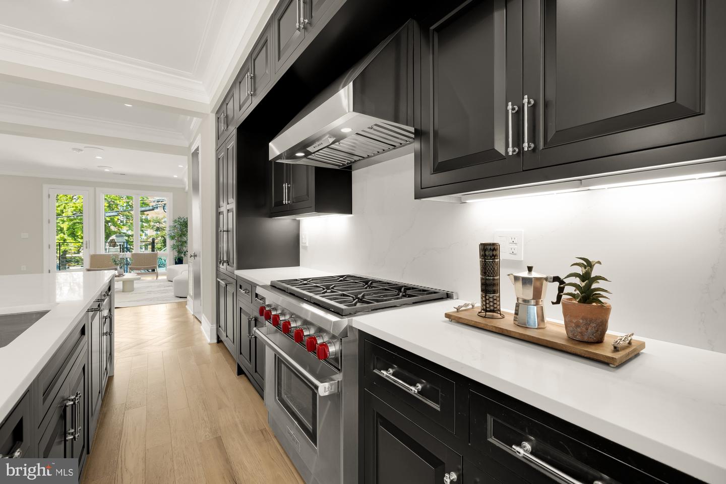 1719 CORCORAN ST NW #1, WASHINGTON, District Of Columbia 20009, 2 Bedrooms Bedrooms, ,2 BathroomsBathrooms,Residential,For sale,1719 CORCORAN ST NW #1,DCDC2240030 MLS # DCDC2240030