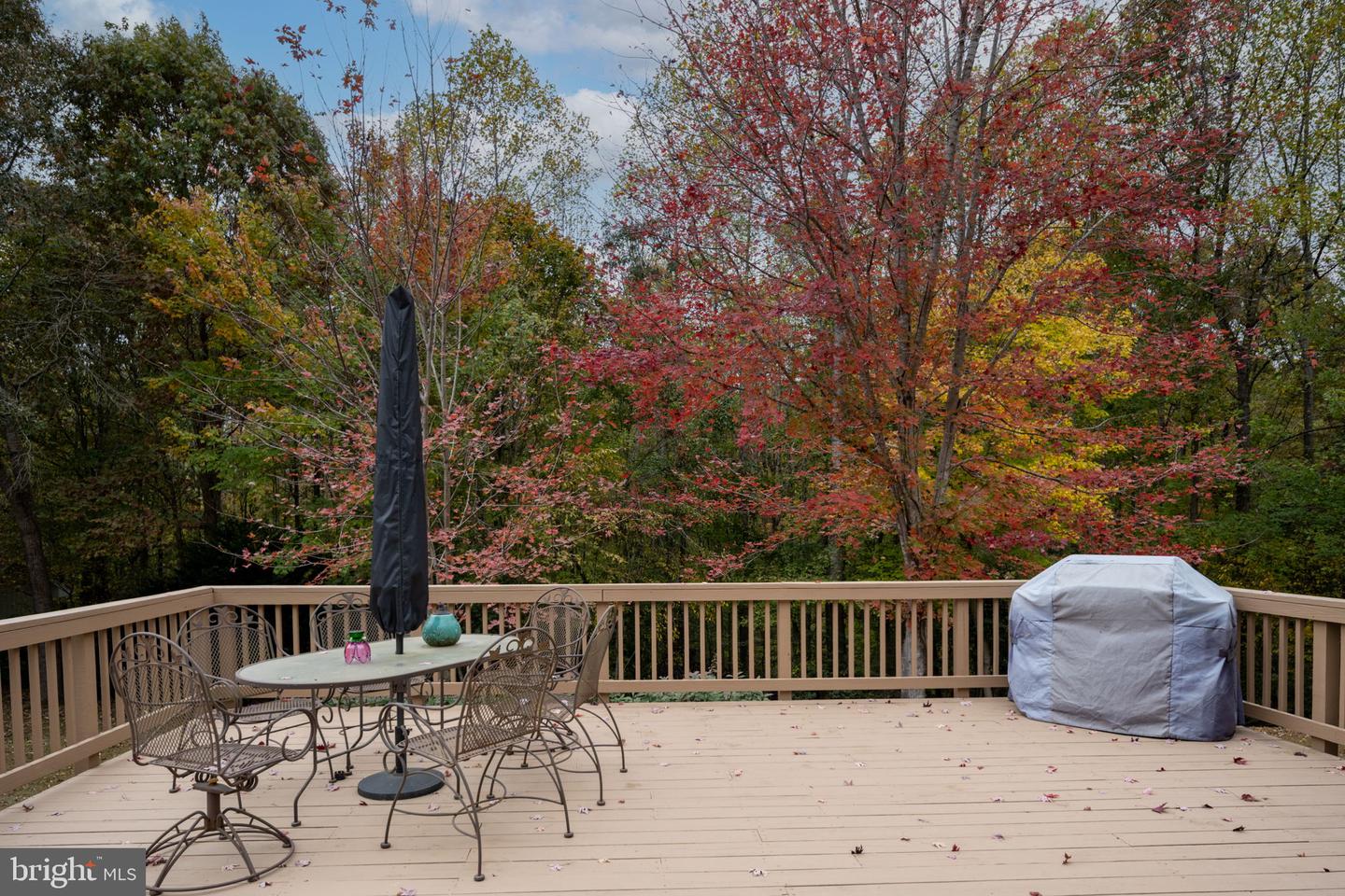 16526 BALD EAGLE DR, KING GEORGE, Virginia 22485, 4 Bedrooms Bedrooms, ,2 BathroomsBathrooms,Residential,For sale,16526 BALD EAGLE DR,VAKG2007476 MLS # VAKG2007476