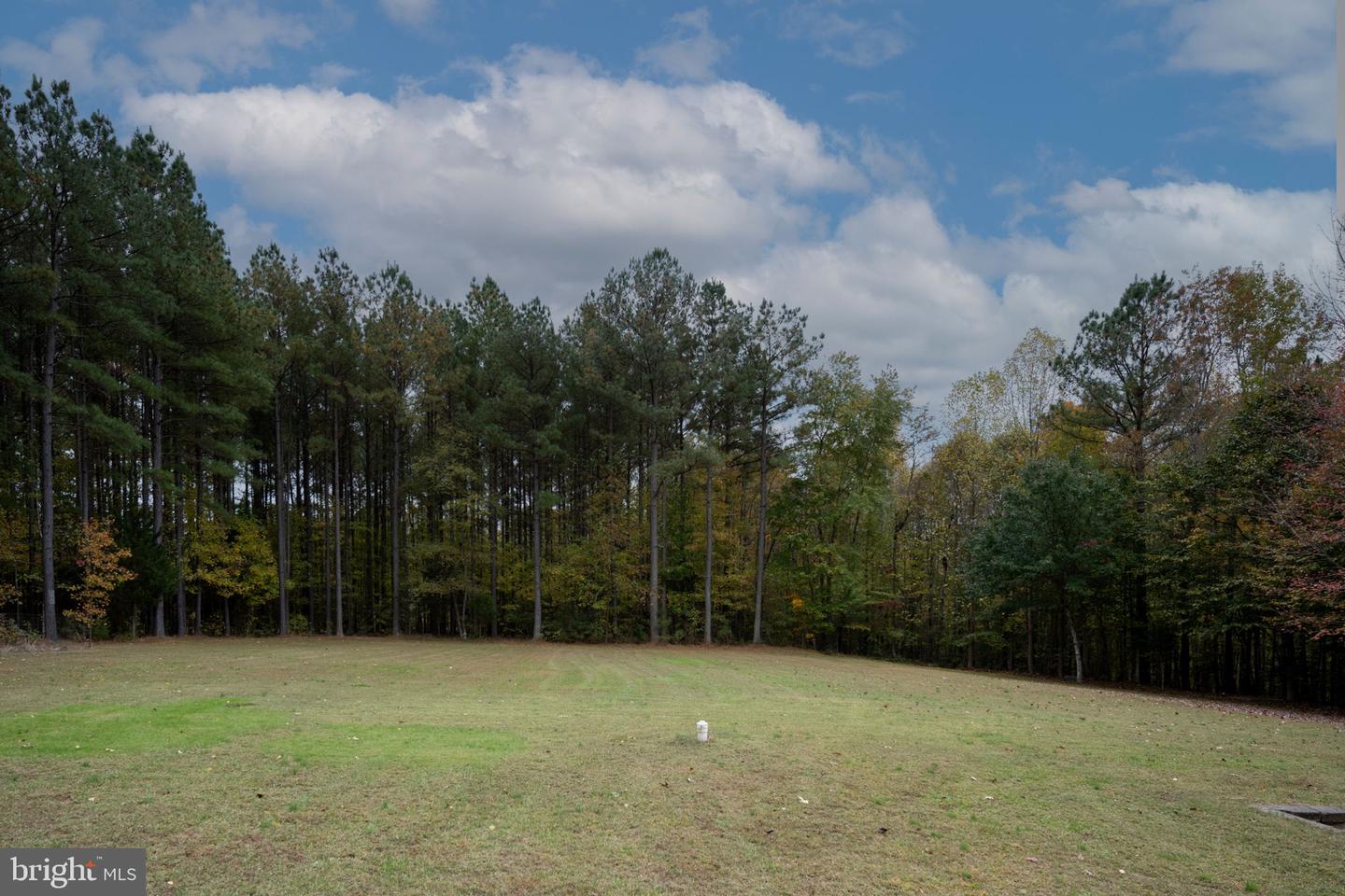 16526 BALD EAGLE DR, KING GEORGE, Virginia 22485, 4 Bedrooms Bedrooms, ,2 BathroomsBathrooms,Residential,For sale,16526 BALD EAGLE DR,VAKG2007476 MLS # VAKG2007476