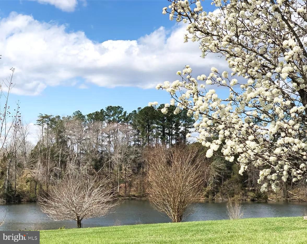 10746 GREENBRIAR LN, SPOTSYLVANIA, Virginia 22553, 5 Bedrooms Bedrooms, ,2 BathroomsBathrooms,Residential,For sale,10746 GREENBRIAR LN,VASP2034708 MLS # VASP2034708