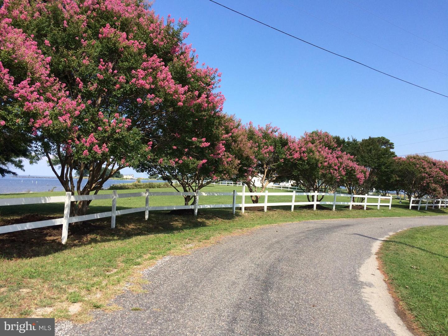 LAKE RD, LOTTSBURG, Virginia 22511, ,Land,For sale,LAKE RD,VANV2001852 MLS # VANV2001852