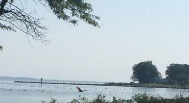 LAKE RD, LOTTSBURG, Virginia 22511, ,Land,For sale,LAKE RD,VANV2001852 MLS # VANV2001852