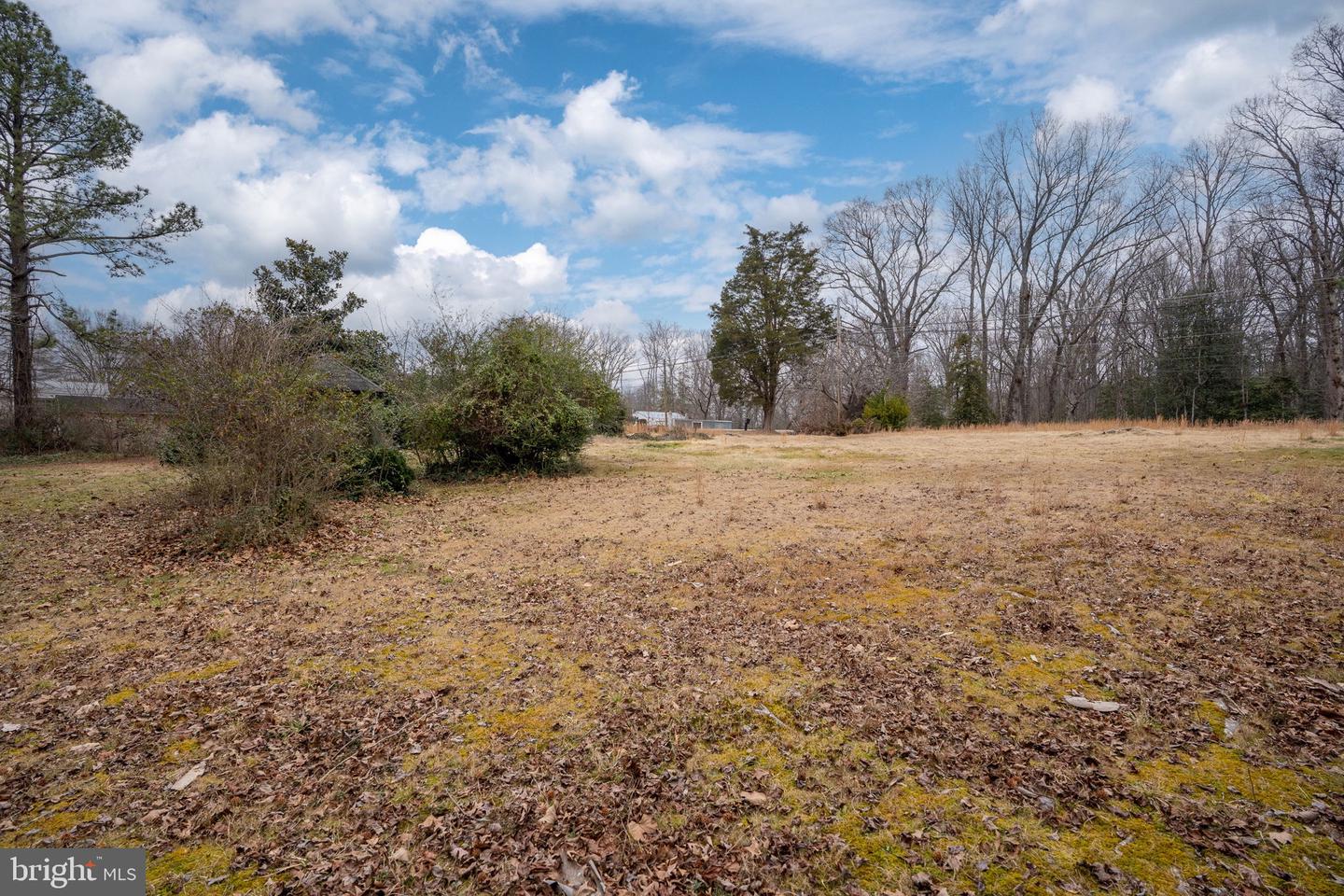 742 WHITE OAK RD, FREDERICKSBURG, Virginia 22405, ,Land,For sale,742 WHITE OAK RD,VAST2045060 MLS # VAST2045060