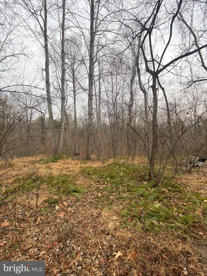 0 SETTLE SCHOOL RD, RIXEYVILLE, Virginia 22737, ,Land,For sale,0 SETTLE SCHOOL RD,VACU2012348 MLS # VACU2012348