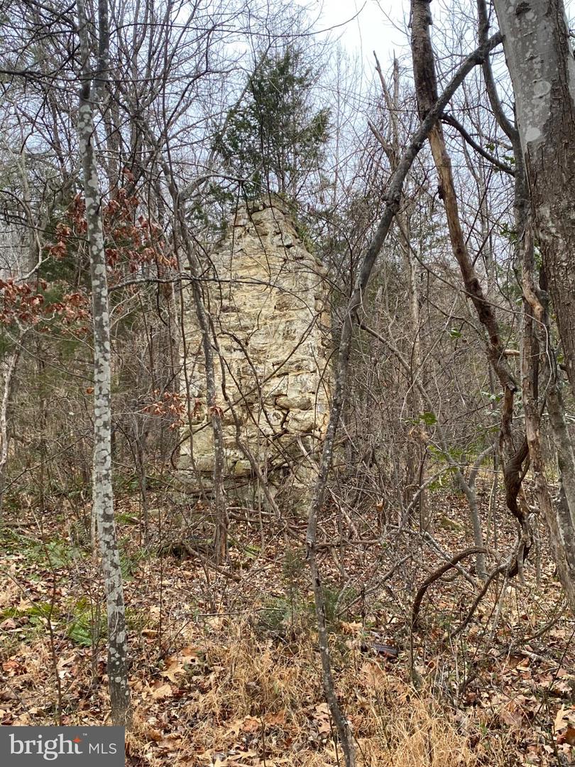 0 SETTLE SCHOOL RD, RIXEYVILLE, Virginia 22737, ,Land,For sale,0 SETTLE SCHOOL RD,VACU2012348 MLS # VACU2012348