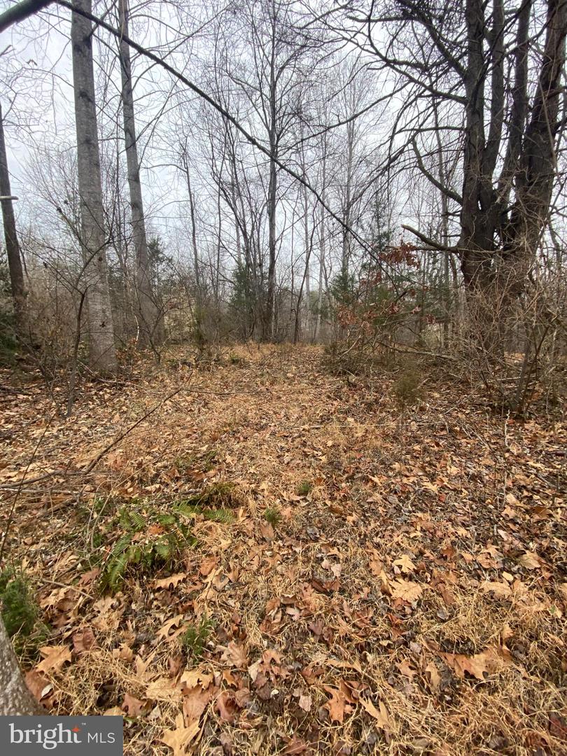 0 SETTLE SCHOOL RD, RIXEYVILLE, Virginia 22737, ,Land,For sale,0 SETTLE SCHOOL RD,VACU2012348 MLS # VACU2012348