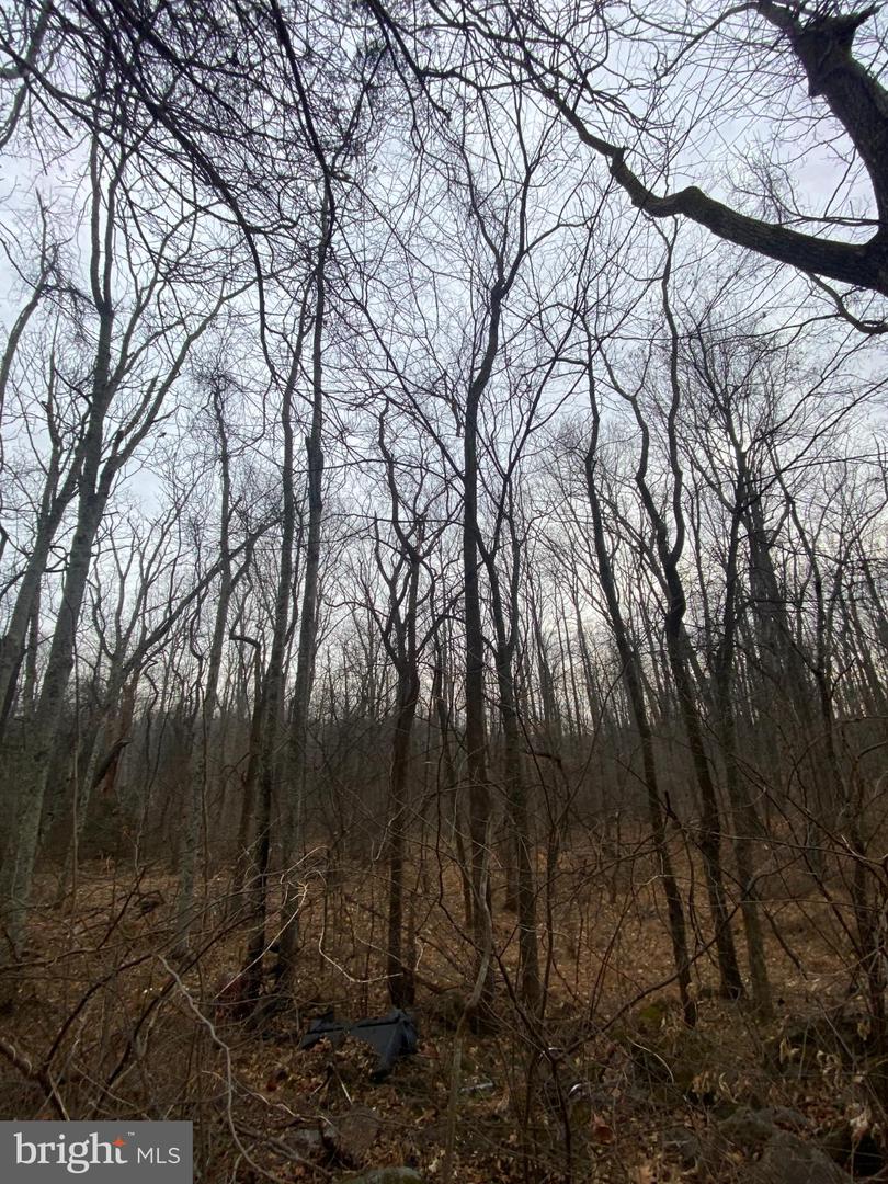 0 SETTLE SCHOOL RD, RIXEYVILLE, Virginia 22737, ,Land,For sale,0 SETTLE SCHOOL RD,VACU2012348 MLS # VACU2012348