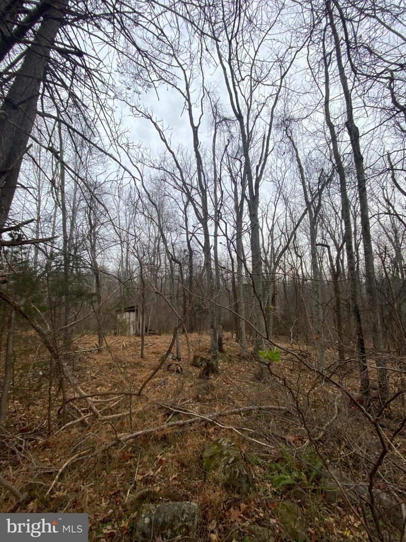 0 SETTLE SCHOOL RD, RIXEYVILLE, Virginia 22737, ,Land,For sale,0 SETTLE SCHOOL RD,VACU2012348 MLS # VACU2012348