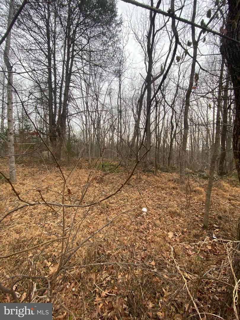 0 SETTLE SCHOOL RD, RIXEYVILLE, Virginia 22737, ,Land,For sale,0 SETTLE SCHOOL RD,VACU2012348 MLS # VACU2012348