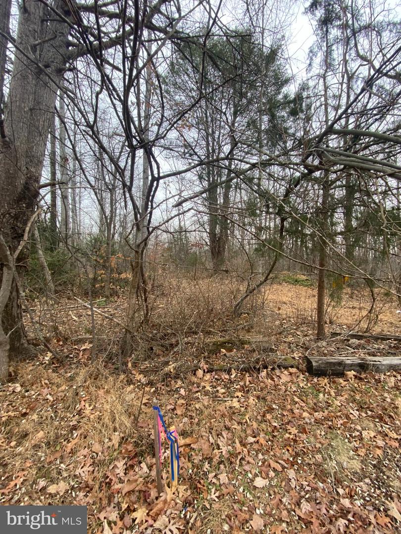 0 SETTLE SCHOOL RD, RIXEYVILLE, Virginia 22737, ,Land,For sale,0 SETTLE SCHOOL RD,VACU2012348 MLS # VACU2012348