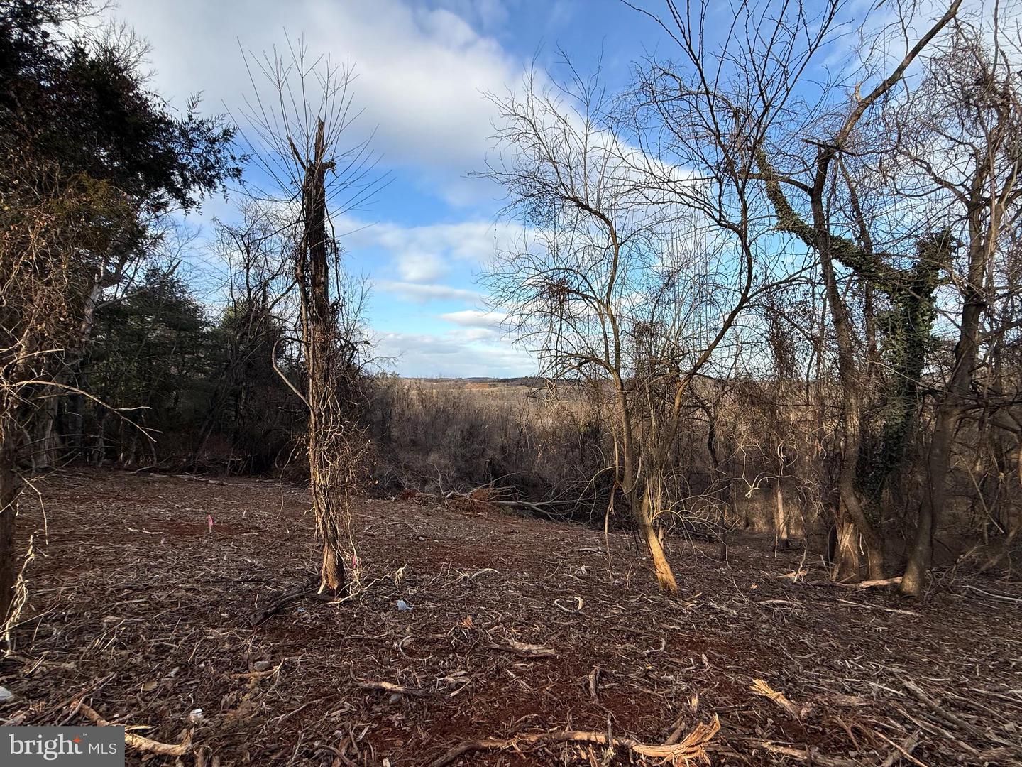 LOT 3D NORTHVIEW AVE, FRONT ROYAL, Virginia 22630, 4 Bedrooms Bedrooms, ,2 BathroomsBathrooms,Residential,For sale,LOT 3D NORTHVIEW AVE,VAWR2013042 MLS # VAWR2013042