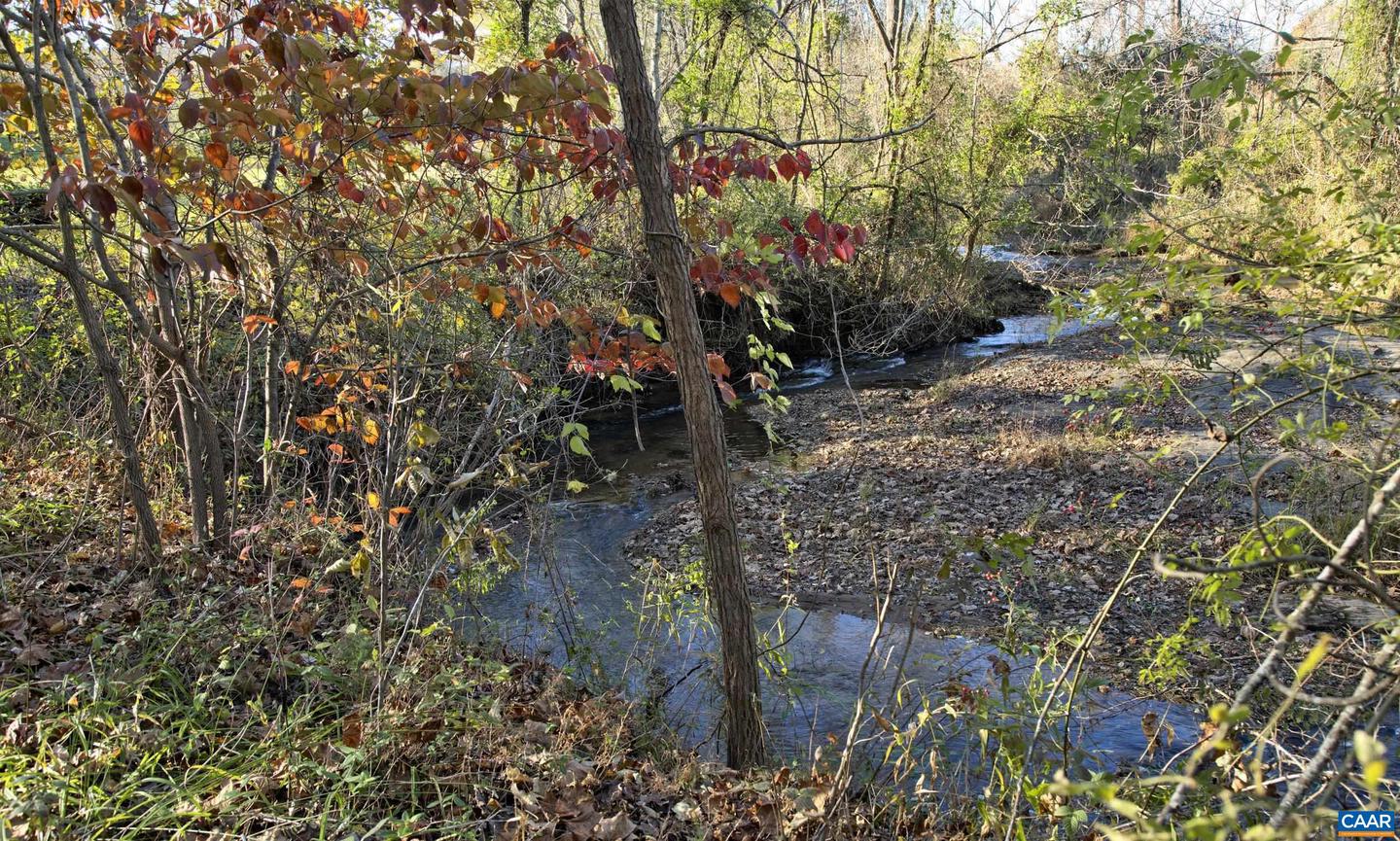 294 & 262 FRESHWATER COVE LN, LOVINGSTON, Virginia 22949, 5 Bedrooms Bedrooms, ,5 BathroomsBathrooms,Residential,For sale,294 & 262 FRESHWATER COVE LN,672288 MLS # 672288