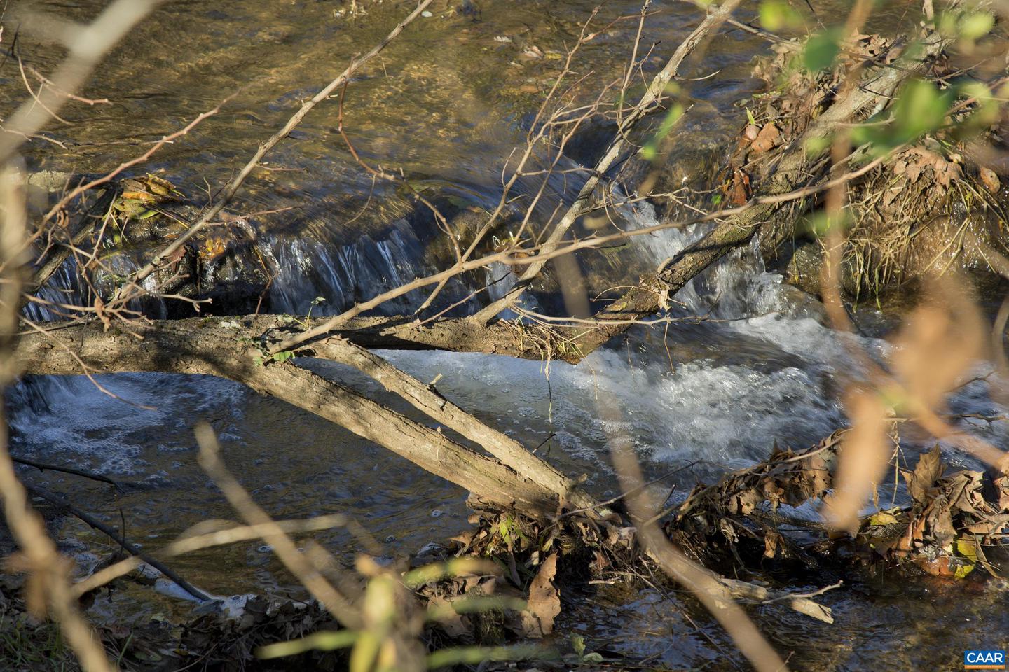 294 & 262 FRESHWATER COVE LN, LOVINGSTON, Virginia 22949, 5 Bedrooms Bedrooms, ,5 BathroomsBathrooms,Residential,For sale,294 & 262 FRESHWATER COVE LN,672288 MLS # 672288