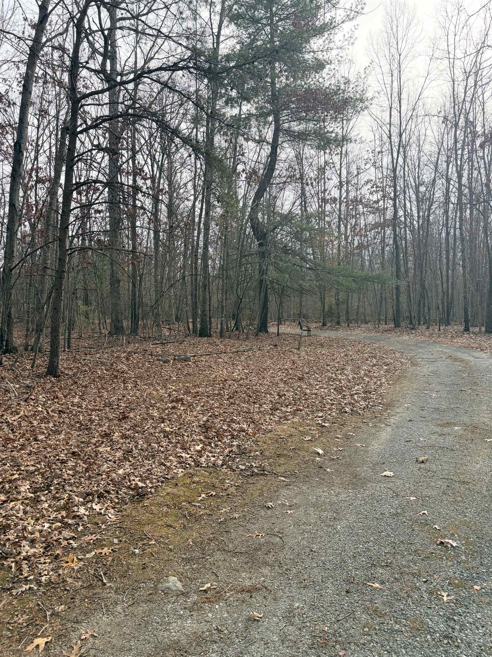 516 THOROFARE RD, CRIMORA, Virginia 24431, ,Land,516 THOROFARE RD,672318 MLS # 672318