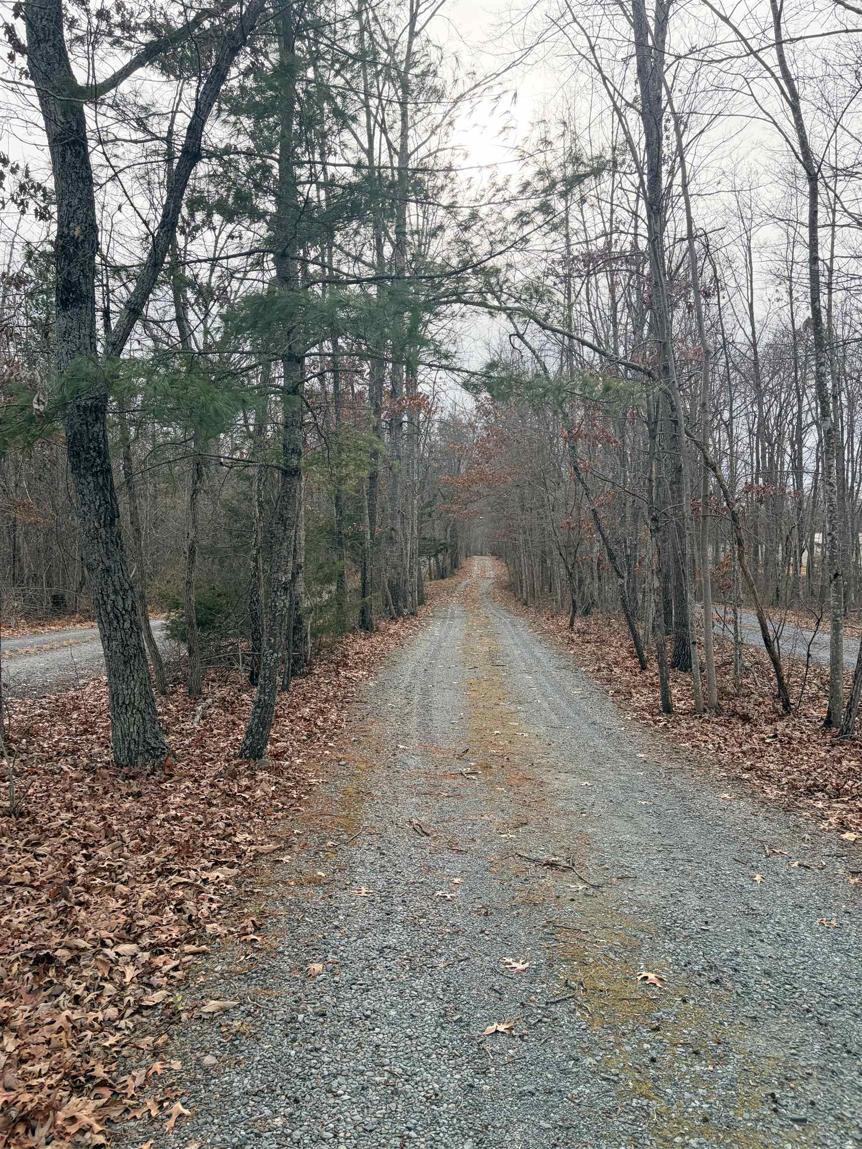 516 THOROFARE RD, CRIMORA, Virginia 24431, ,Land,516 THOROFARE RD,672318 MLS # 672318