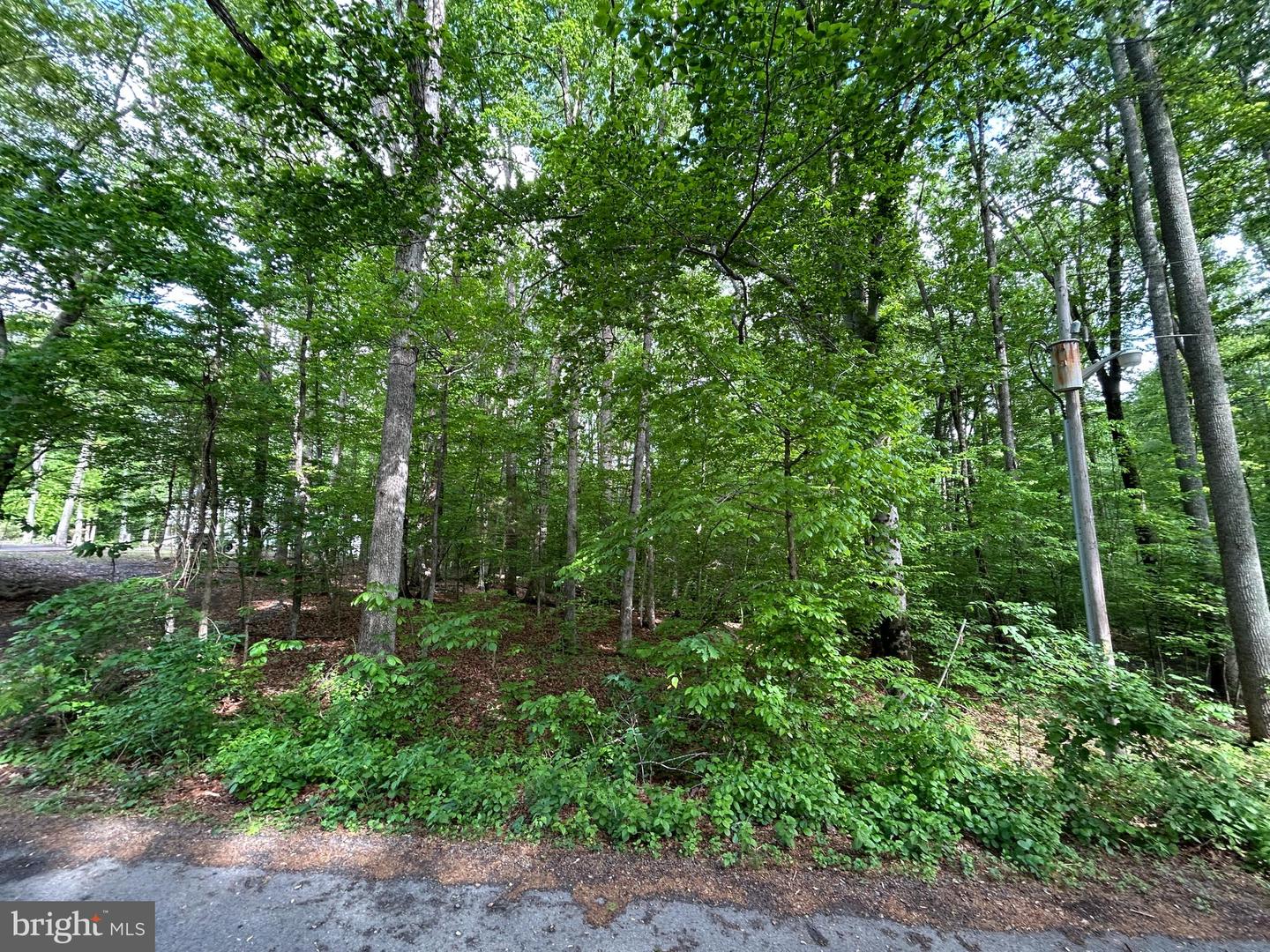 9499 PETTERSON LN, MANASSAS, Virginia 20112, ,Land,For sale,9499 PETTERSON LN,VAPW2110094 MLS # VAPW2110094