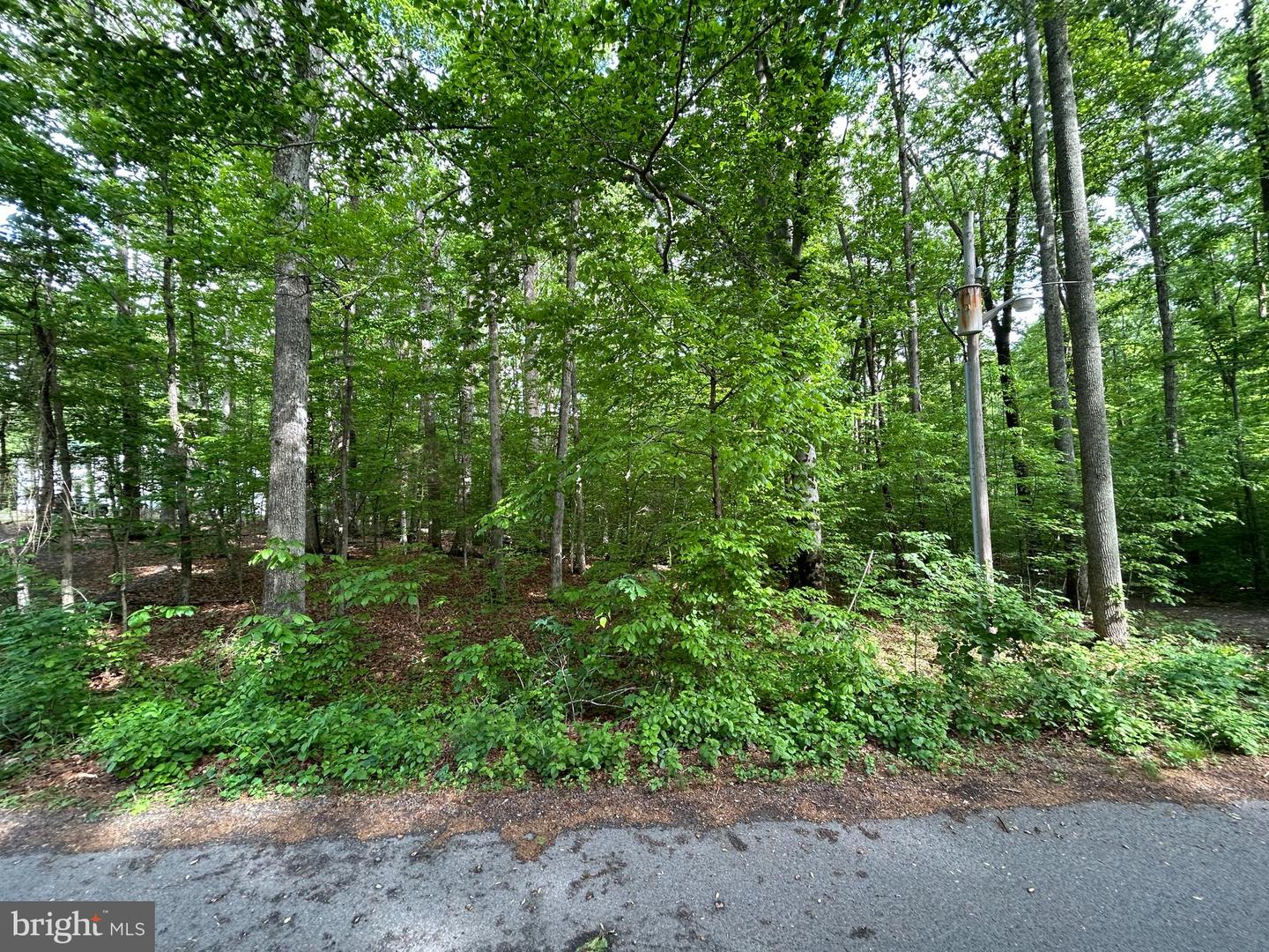 9499 PETTERSON LN, MANASSAS, Virginia 20112, ,Land,For sale,9499 PETTERSON LN,VAPW2110094 MLS # VAPW2110094