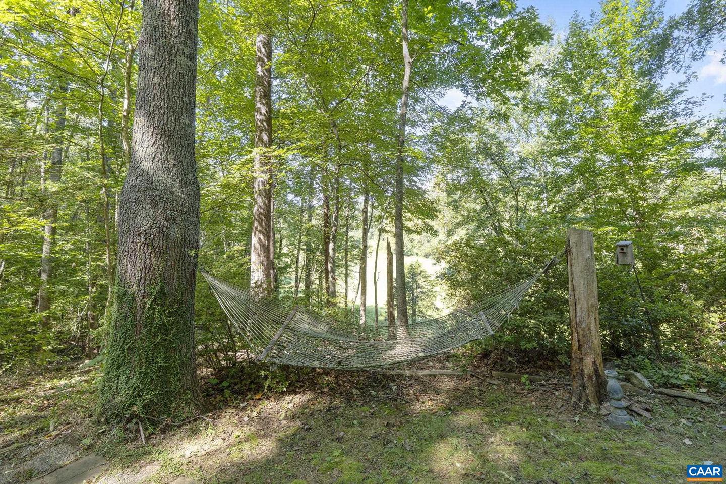 318 MILLER SCHOOL RD, CHARLOTTESVILLE, Virginia 22903, 4 Bedrooms Bedrooms, ,2 BathroomsBathrooms,Residential,For sale,318 MILLER SCHOOL RD,668774 MLS # 668774 318 MILLER SCHOOL RD, CHARLOTTESVILLE, Virginia 22903, 4 Bedrooms Bedrooms, ,2 BathroomsBathrooms,Residential,For sale,318 MILLER SCHOOL RD,668774 MLS # 668774