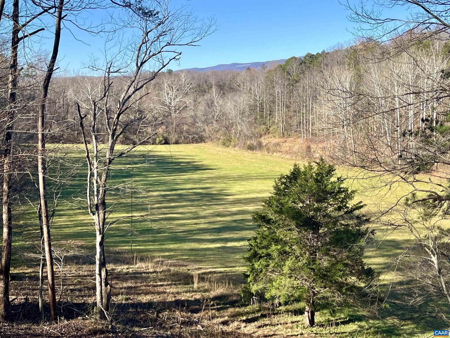 318 MILLER SCHOOL RD, CHARLOTTESVILLE, Virginia 22903, 4 Bedrooms Bedrooms, ,2 BathroomsBathrooms,Residential,For sale,318 MILLER SCHOOL RD,668774 MLS # 668774 318 MILLER SCHOOL RD, CHARLOTTESVILLE, Virginia 22903, 4 Bedrooms Bedrooms, ,2 BathroomsBathrooms,Residential,For sale,318 MILLER SCHOOL RD,668774 MLS # 668774