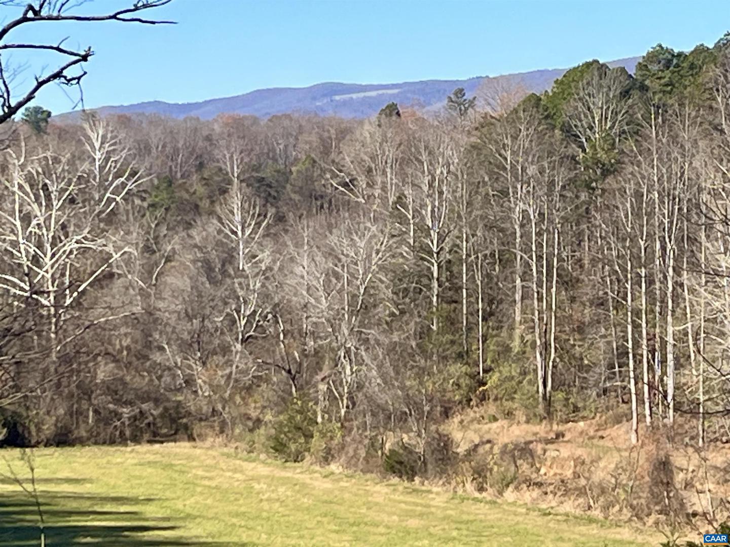 318 MILLER SCHOOL RD, CHARLOTTESVILLE, Virginia 22903, 4 Bedrooms Bedrooms, ,2 BathroomsBathrooms,Residential,For sale,318 MILLER SCHOOL RD,668774 MLS # 668774 318 MILLER SCHOOL RD, CHARLOTTESVILLE, Virginia 22903, 4 Bedrooms Bedrooms, ,2 BathroomsBathrooms,Residential,For sale,318 MILLER SCHOOL RD,668774 MLS # 668774