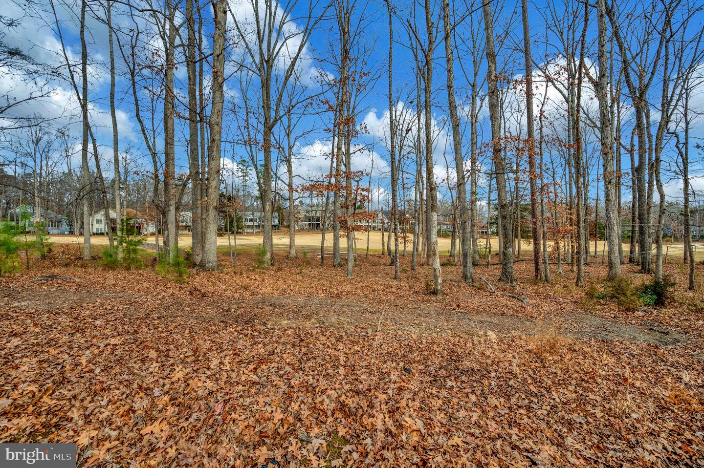 117 GREEN ST, LOCUST GROVE, Virginia 22508, 3 Bedrooms Bedrooms, 10 Rooms Rooms,2 BathroomsBathrooms,Residential,For sale,117 GREEN ST,VAOR2012844 MLS # VAOR2012844