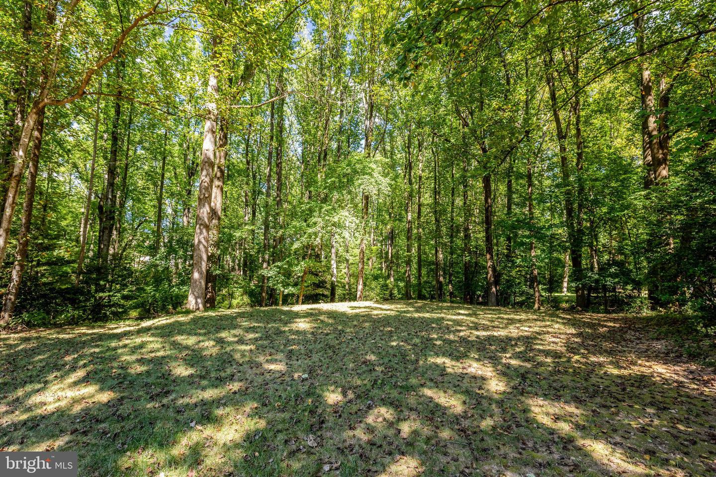 987 OLD HOLLY DR, GREAT FALLS, Virginia 22066, 5 Bedrooms Bedrooms, ,3 BathroomsBathrooms,Residential,For sale,987 OLD HOLLY DR,VAFX2281496 MLS # VAFX2281496