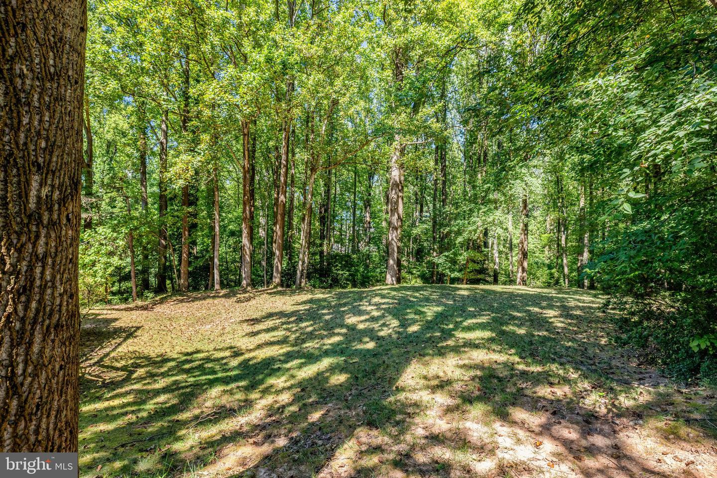 987 OLD HOLLY DR, GREAT FALLS, Virginia 22066, 5 Bedrooms Bedrooms, ,3 BathroomsBathrooms,Residential,For sale,987 OLD HOLLY DR,VAFX2281496 MLS # VAFX2281496