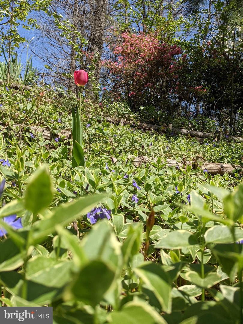 7580 WOODSTOWN DR, SPRINGFIELD, Virginia 22153, 4 Bedrooms Bedrooms, ,3 BathroomsBathrooms,Residential,For sale,7580 WOODSTOWN DR,VAFX2282020 MLS # VAFX2282020