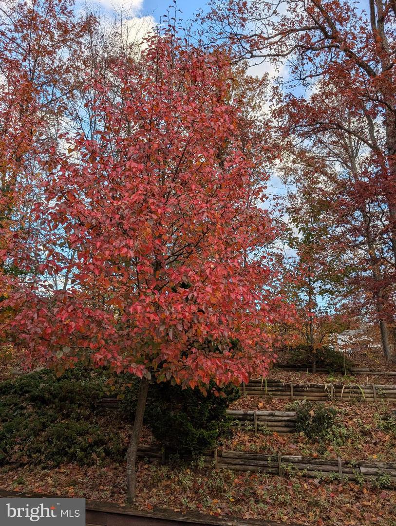 7580 WOODSTOWN DR, SPRINGFIELD, Virginia 22153, 4 Bedrooms Bedrooms, ,3 BathroomsBathrooms,Residential,For sale,7580 WOODSTOWN DR,VAFX2282020 MLS # VAFX2282020