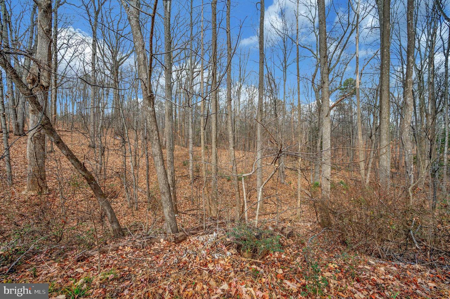 8445 JAMES MONROE HWY, CULPEPER, Virginia 22701, 4 Bedrooms Bedrooms, 8 Rooms Rooms,1 BathroomBathrooms,Residential,For sale,8445 JAMES MONROE HWY,VACU2012226 MLS # VACU2012226