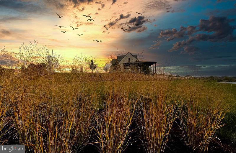 23669 GOLDEN EMBERS SQ #303, ASHBURN, Virginia 20148, 3 Bedrooms Bedrooms, ,2 BathroomsBathrooms,Residential,For sale,23669 GOLDEN EMBERS SQ #303,VALO2112344 MLS # VALO2112344