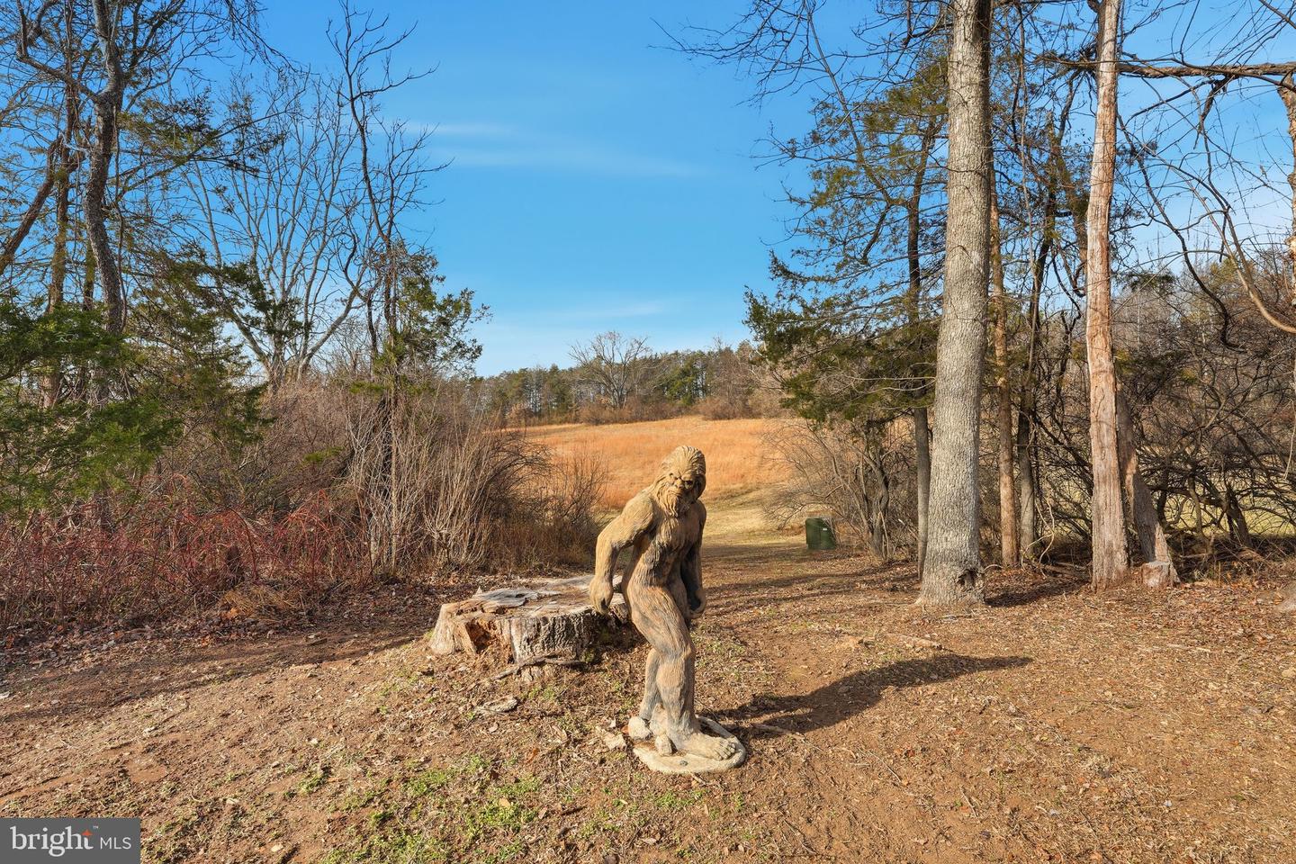 12095 OLD STILLHOUSE RD, BOSTON, Virginia 22713, 2 Bedrooms Bedrooms, ,2 BathroomsBathrooms,Residential,For sale,12095 OLD STILLHOUSE RD,VACU2012272 MLS # VACU2012272 12095 OLD STILLHOUSE RD, BOSTON, Virginia 22713, 2 Bedrooms Bedrooms, ,2 BathroomsBathrooms,Residential,For sale,12095 OLD STILLHOUSE RD,VACU2012272 MLS # VACU2012272