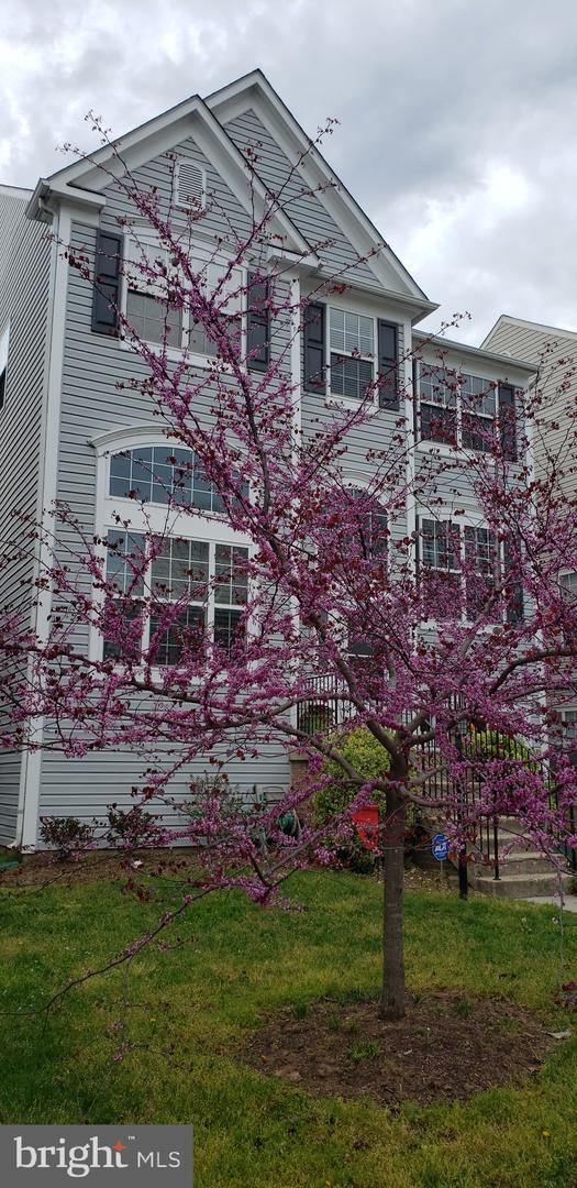 9138 MINEOLA CT, MANASSAS, Virginia 20111, 5 Bedrooms Bedrooms, ,3 BathroomsBathrooms,Residential,For sale,9138 MINEOLA CT,VAPW2109692 MLS # VAPW2109692