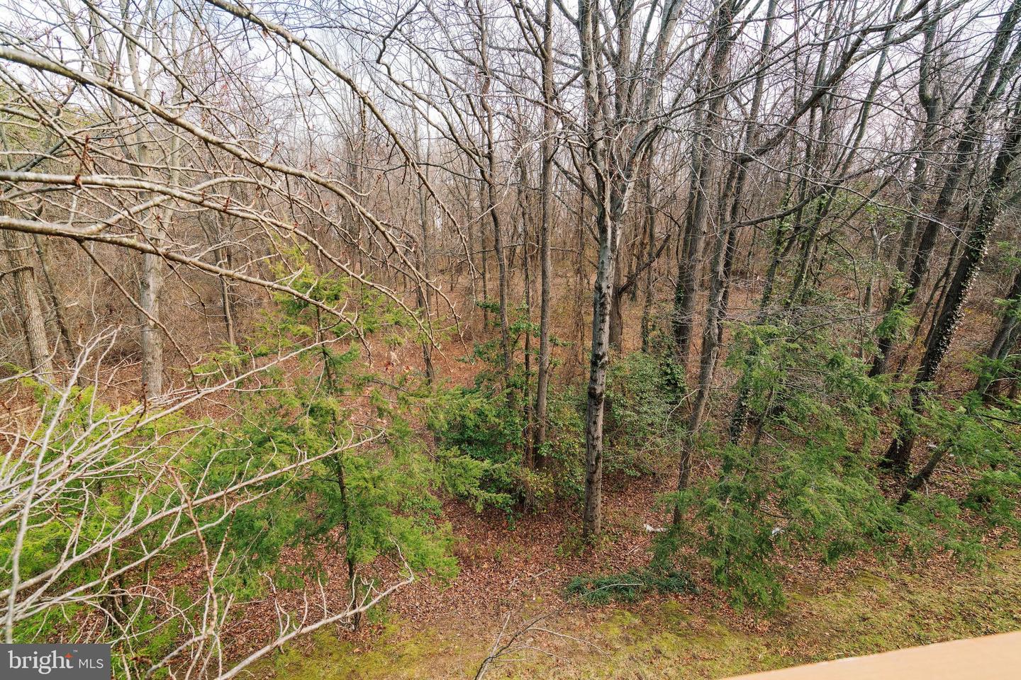 6142 MANCHESTER PARK CIR, ALEXANDRIA, Virginia 22310, 4 Bedrooms Bedrooms, ,3 BathroomsBathrooms,Residential,For sale,6142 MANCHESTER PARK CIR,VAFX2283698 MLS # VAFX2283698