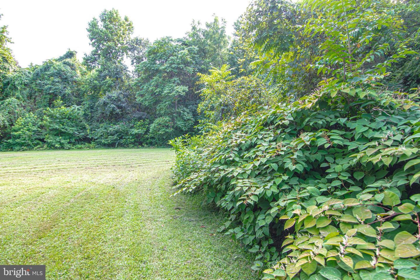 LOT 0 - JOHN MINOR DR, KING GEORGE, Virginia 22485, ,Land,For sale,LOT 0 - JOHN MINOR DR,VAKG2006882 MLS # VAKG2006882