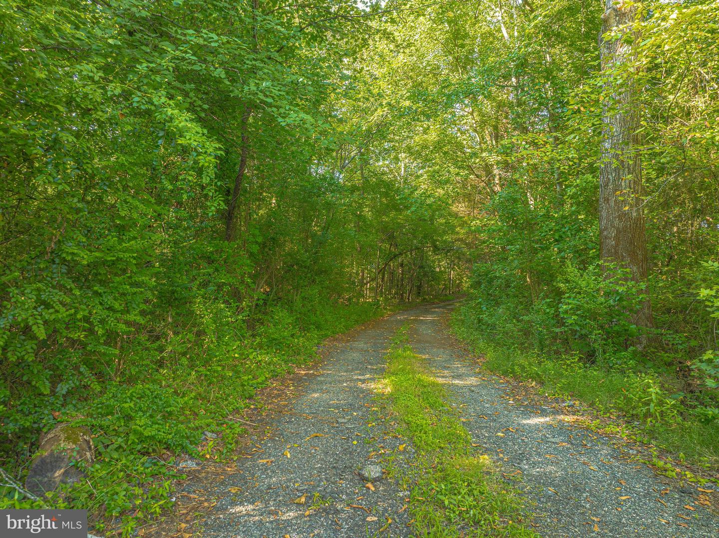 LOT 0 - JOHN MINOR DR, KING GEORGE, Virginia 22485, ,Land,For sale,LOT 0 - JOHN MINOR DR,VAKG2006882 MLS # VAKG2006882