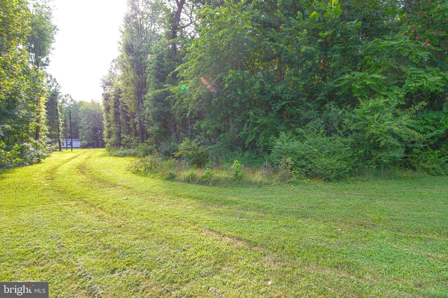 LOT 0 - JOHN MINOR DR, KING GEORGE, Virginia 22485, ,Land,For sale,LOT 0 - JOHN MINOR DR,VAKG2006882 MLS # VAKG2006882