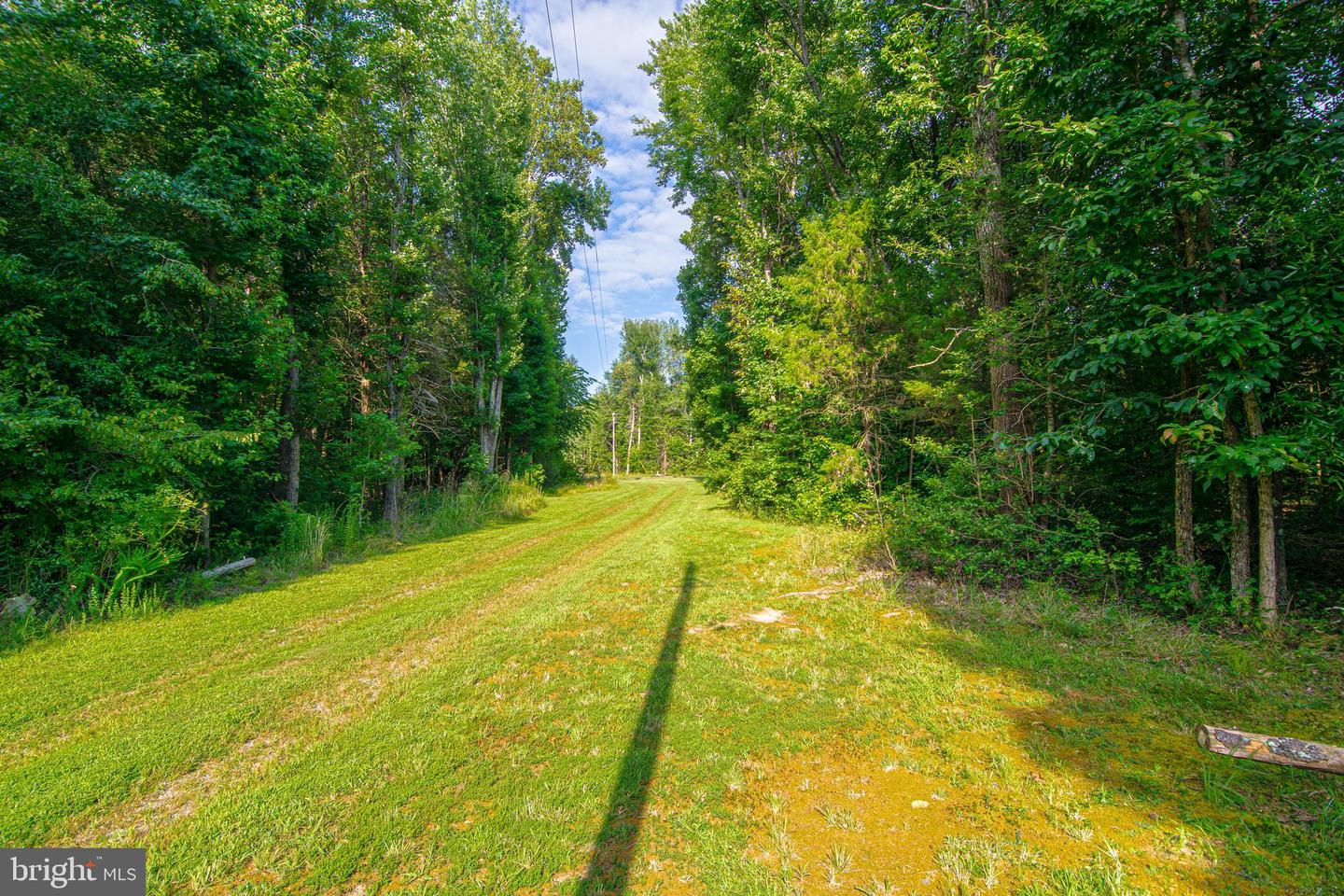 LOT 0 - JOHN MINOR DR, KING GEORGE, Virginia 22485, ,Land,For sale,LOT 0 - JOHN MINOR DR,VAKG2006882 MLS # VAKG2006882