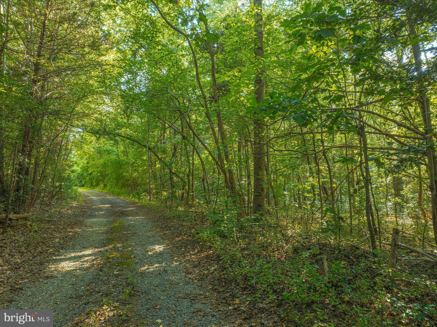 LOT 0 - JOHN MINOR DR, KING GEORGE, Virginia 22485, ,Land,For sale,LOT 0 - JOHN MINOR DR,VAKG2006882 MLS # VAKG2006882