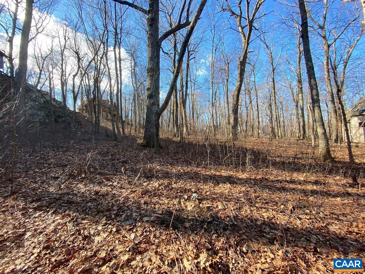 462 DEER SPRINGS LN #101, WINTERGREEN RESORT, Virginia 22967, ,Land,For sale,462 DEER SPRINGS LN #101,672324 MLS # 672324