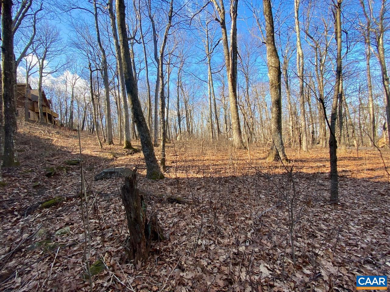 462 DEER SPRINGS LN #101, WINTERGREEN RESORT, Virginia 22967, ,Land,For sale,462 DEER SPRINGS LN #101,672324 MLS # 672324