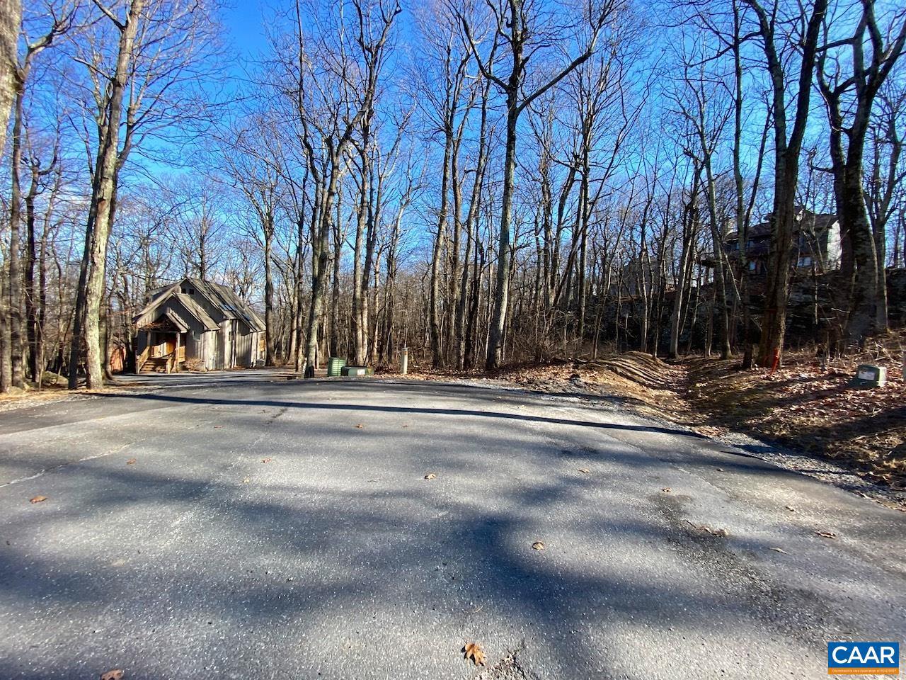 462 DEER SPRINGS LN #101, WINTERGREEN RESORT, Virginia 22967, ,Land,For sale,462 DEER SPRINGS LN #101,672324 MLS # 672324