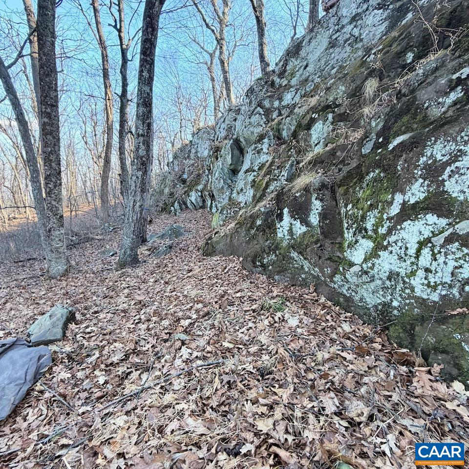 462 DEER SPRINGS LN #101, WINTERGREEN RESORT, Virginia 22967, ,Land,For sale,462 DEER SPRINGS LN #101,672324 MLS # 672324