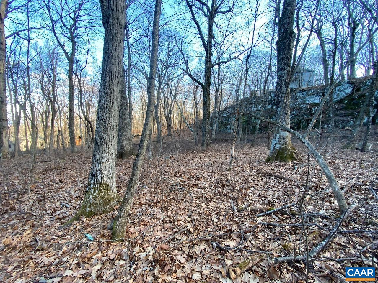 462 DEER SPRINGS LN #101, WINTERGREEN RESORT, Virginia 22967, ,Land,For sale,462 DEER SPRINGS LN #101,672324 MLS # 672324